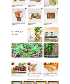 Theme wordpress bán sâm ngọc linh