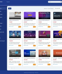 Theme WordPress bán plugin, theme gọn gàng dể nhìn