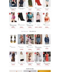 Theme wordpress thời trang 48 full chức năng